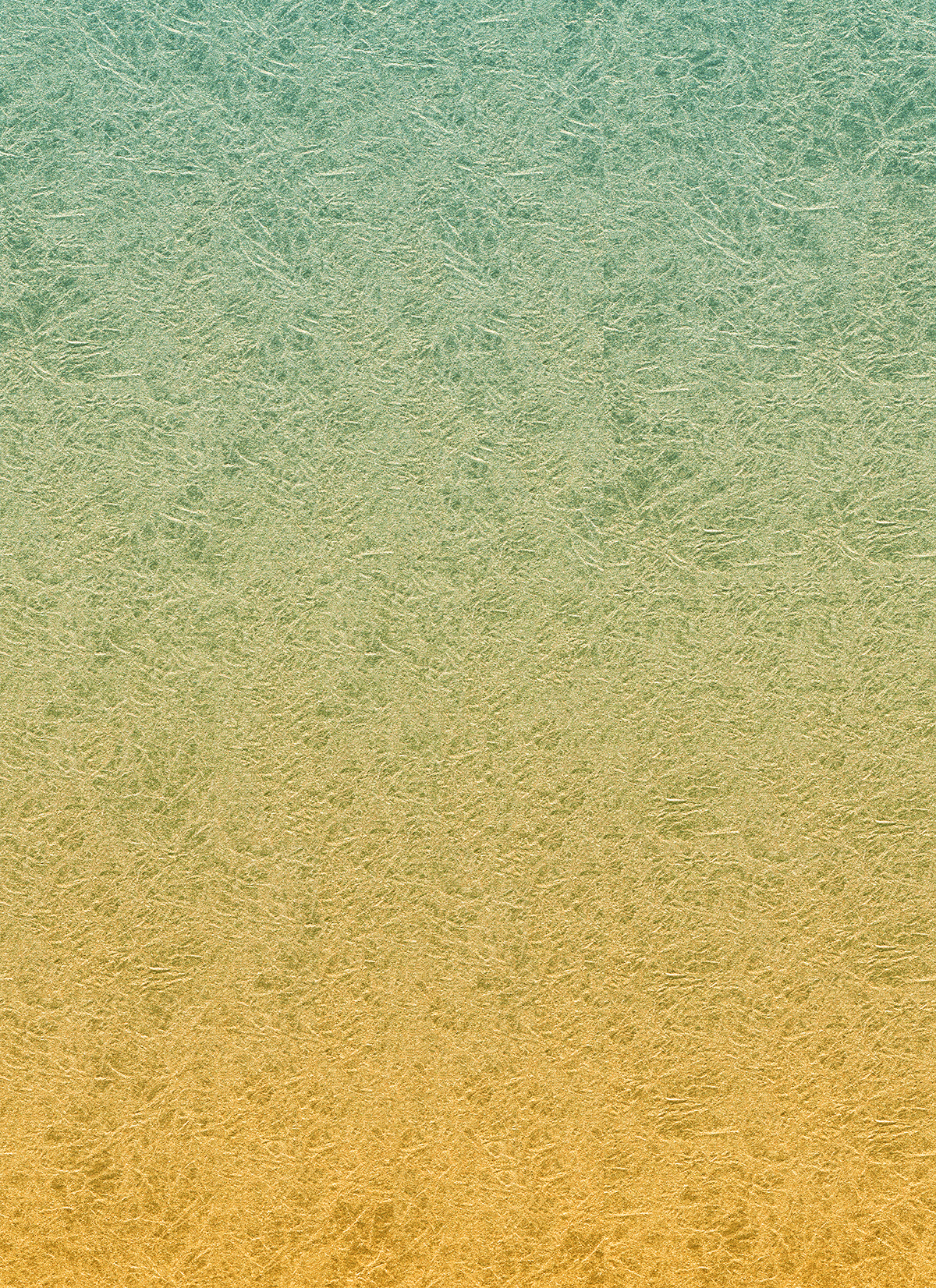 だから、言ったのに。